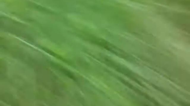 Мистическое подключение часть 4 локация радиация объект тёмный лес смотреть онлайн