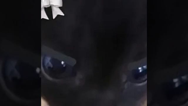^-^ смотреть онлайн