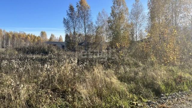 11536644 смотреть онлайн