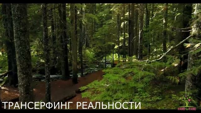 HAND TO HAND - ЧЕЛЛЕНДЖ - ТРАНСЕРФИНГ РЕАЛЬНОСТИ!!! смотреть онлайн
