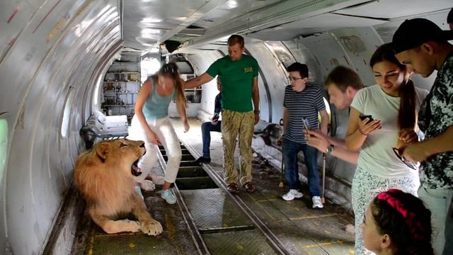 Олежка пилот 'Львиной авиакомпании '! смотреть онлайн