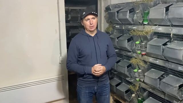 БОЛЕЗНИ ШИНШИЛЛ часть 1 | ФЕРМА ШИНШИЛЛ | ШИНШИЛЛОВАЯ ФЕРМА смотреть онлайн