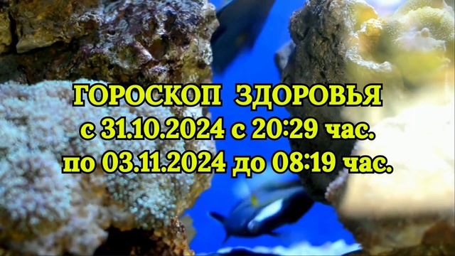 "ГОРОСКОП ЗДОРОВЬЯ с 31.10.2024 по 03.11.2024" смотреть онлайн
