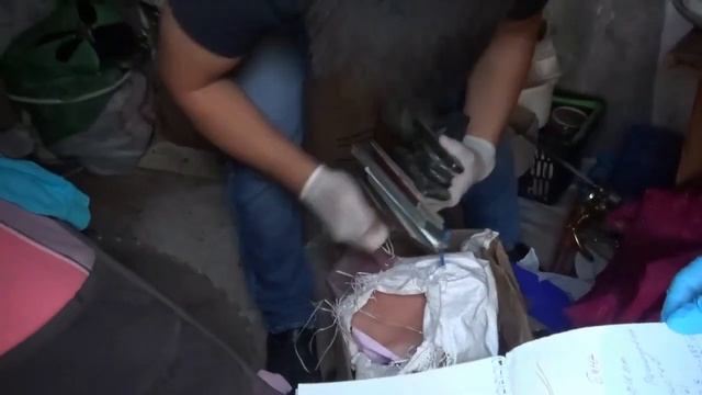 В Астрахани задержана банда земельных мошенников смотреть онлайн