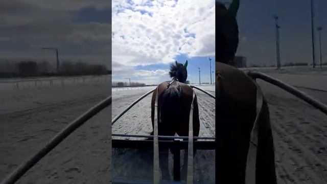 Казанский ипподром смотреть онлайн