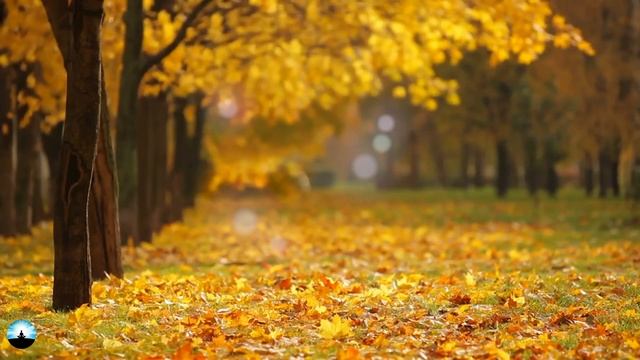 Reiki Music With Bell Every 2 Minutes, Reiki 2 Minute Timer, Healing Music. Reiki Healing