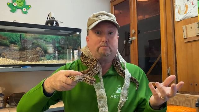 Shedding Skin w/ Dr. Boom– Ascend Camp & Retreat Center смотреть онлайн