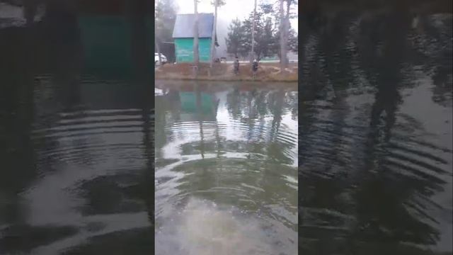 запуск смотреть онлайн