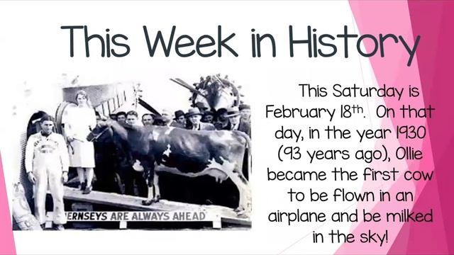 Mary M Bethune PK-8 Morning Meeting 2.13.23 смотреть онлайн