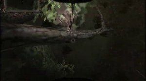 Оп 2 Тайник Фенрира на Кордоне