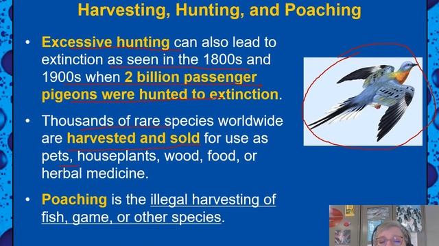 Gales TEACHING 10 2 Biodiversity at Risk смотреть онлайн