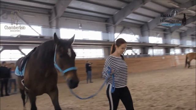 Отзыв с бизнес тренинга для Сони смотреть онлайн
