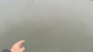 Осенний карась на зимний боковой кивок. Клёв как из пулемёта.