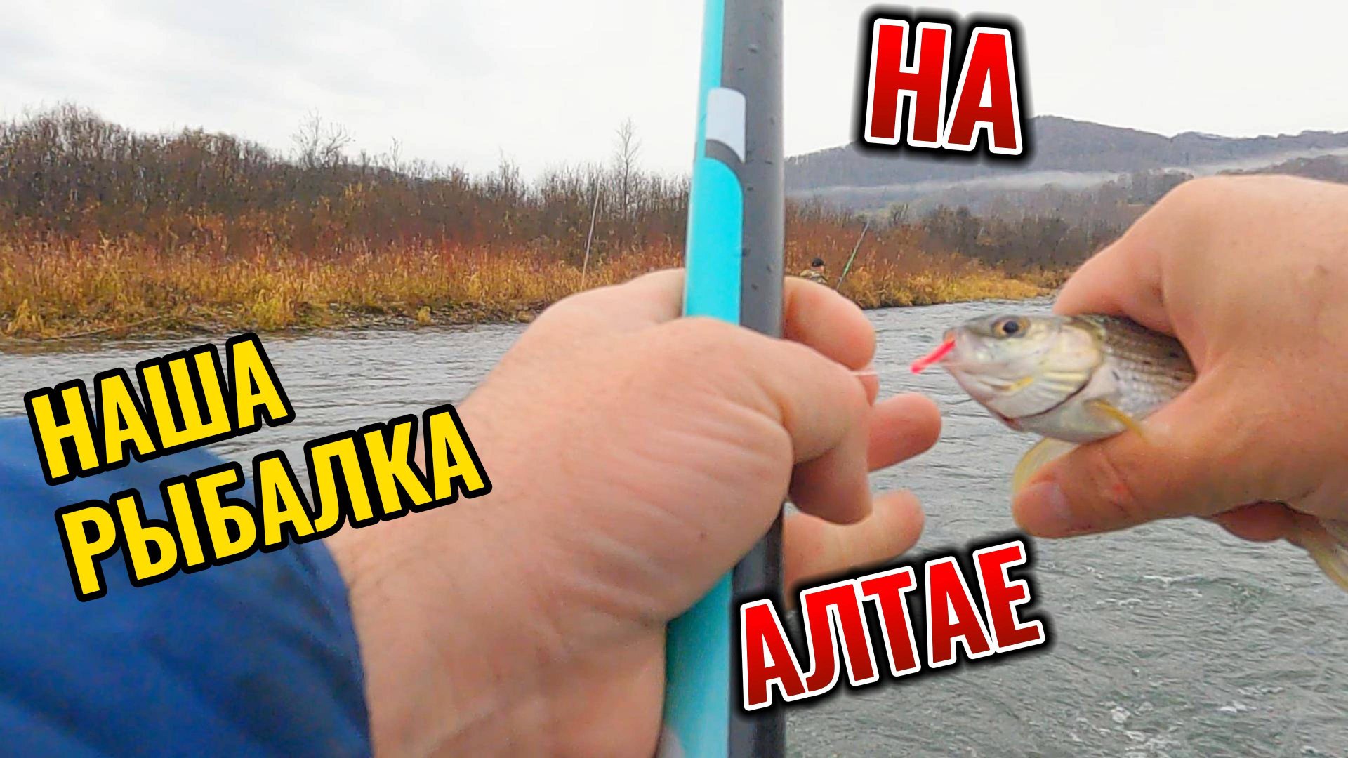 ОСЕННЯЯ РЫБАЛКА НА ХАРИУСА, ЕДЕМ НА АЛТАЙ #РЫБАЛКА #ПУТЕШЕСТВИЯ #АЛТАЙ #ХАРИУС #НАШАРЫБАЛКА #FISH смотреть онлайн