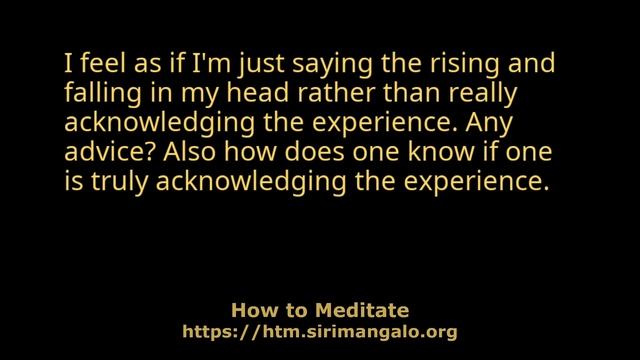 Meditation Q&A - Aug 6, 2022 смотреть онлайн