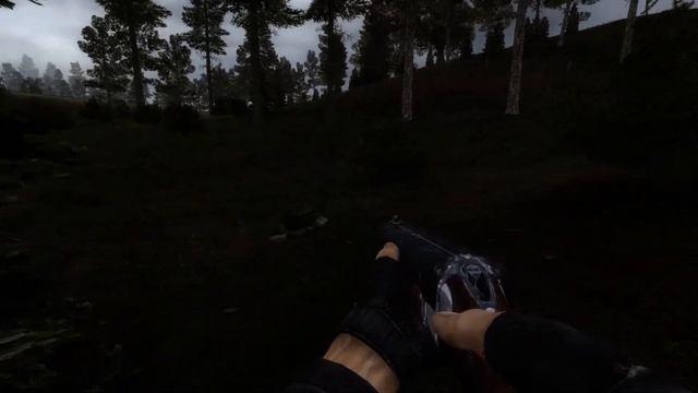 S.T.A.L.K.E.R.: NLC 7 (4) смотреть онлайн