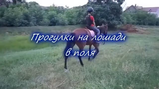 Эквилибриум наши услуги смотреть онлайн