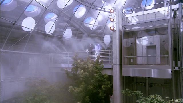 Unit 8 Building a Rain Forest смотреть онлайн