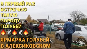 🔥🔥🔥В первый раз встречаю такую породу голубей. Ярмарка голубей в Алексиковском. Николаевские голу