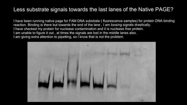 Native PAGE (Polyacrylamide Gel Electrophoresis) Troubleshooting смотреть онлайн