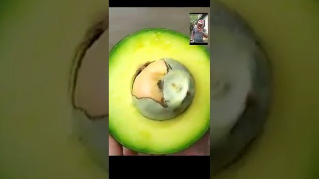 wow смотреть онлайн