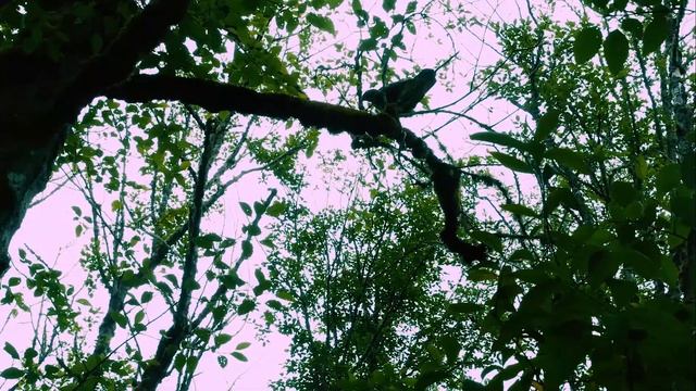 Moby - Sunday (Music Video)