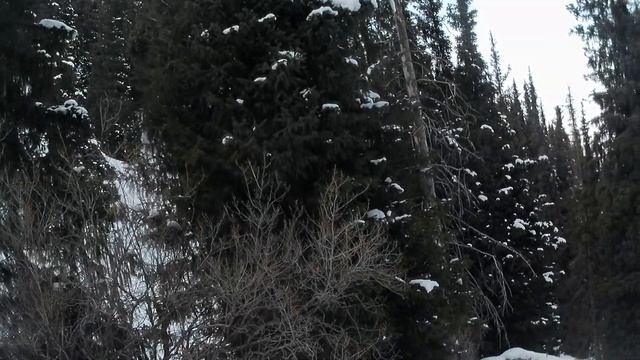 4K Лыжный курорт Каракол катание вне трасс вдоль ручья ЮВ от 2ой креселки смотреть онлайн