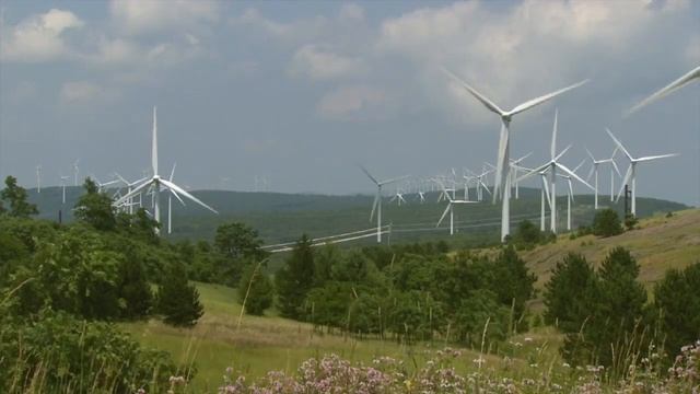 Ecological Services Program - U.S. Fish & Wildlife Service смотреть онлайн