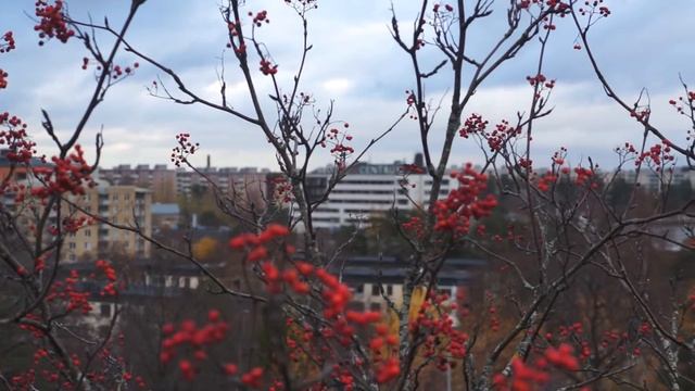 Tyreso at fall смотреть онлайн