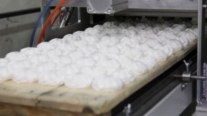 Двухрядная зефироотсадочная машина ГТ-ЗМ2