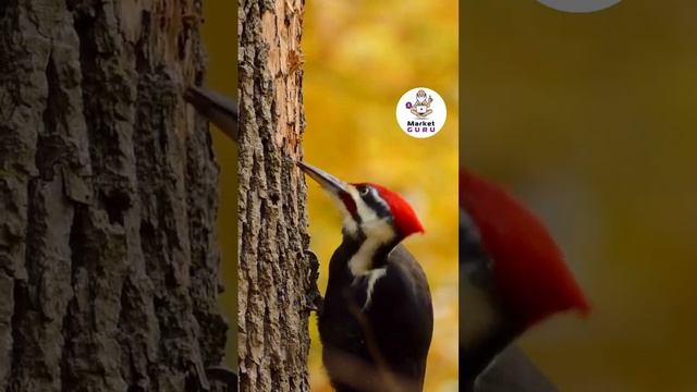 Как у Вас дела с выбором ниши? смотреть онлайн