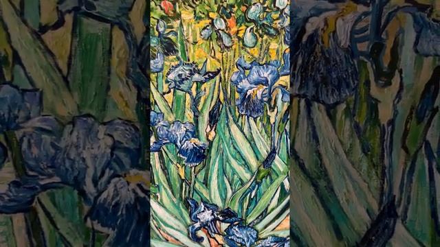 Винсент Ван Гог «Ирисы» смотреть онлайн