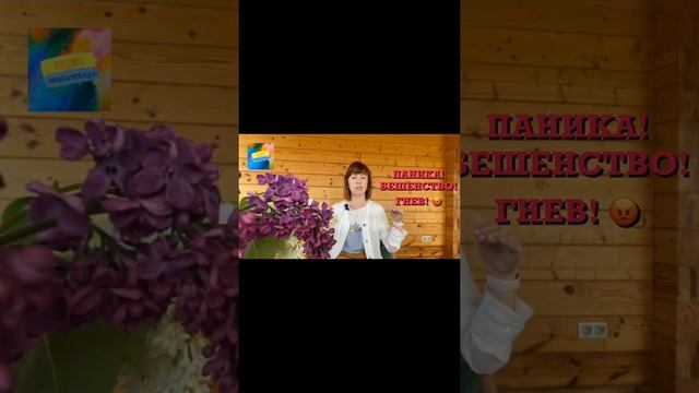 Интеграционное состояние! смотреть онлайн