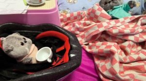 басик и Лëня у бабушки 3 серия