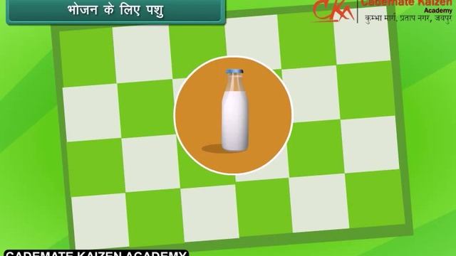 Sources of Food | EVS | Class4th | Hindi | Cademate Kaizen Academy | Cademate смотреть онлайн