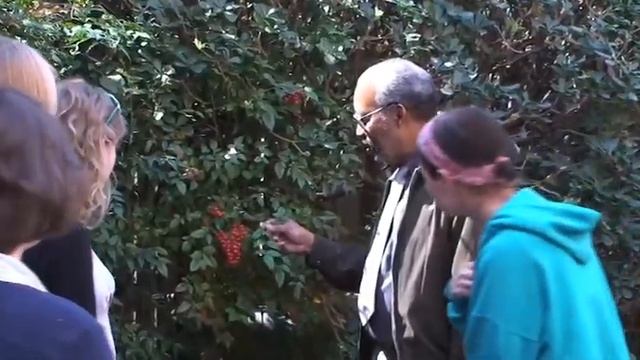 John Rashford - Department of Sociology & Anthropology смотреть онлайн