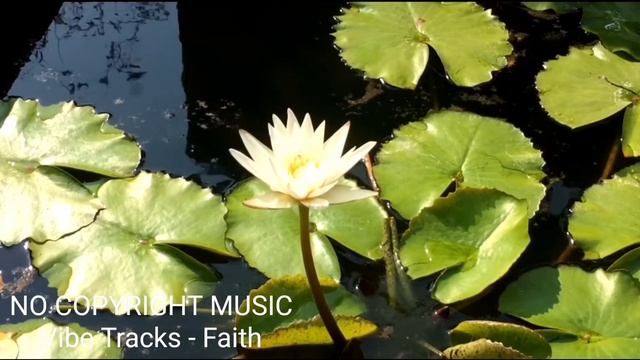 Vibe Tracks - Faith (NO COPYRIGHT MUSIC)
