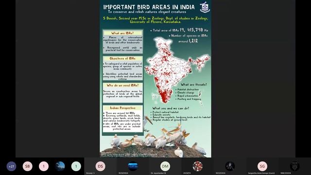NCDDIB | Part 2 смотреть онлайн