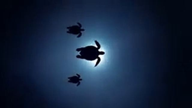 Guru Mantra Sahaja Yoga смотреть онлайн