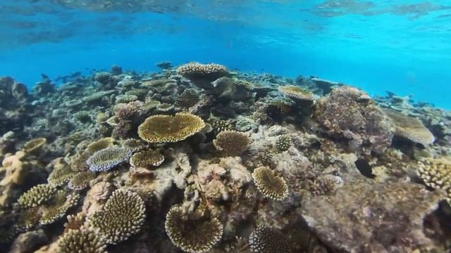 Drift Thelu Veliga Retreat