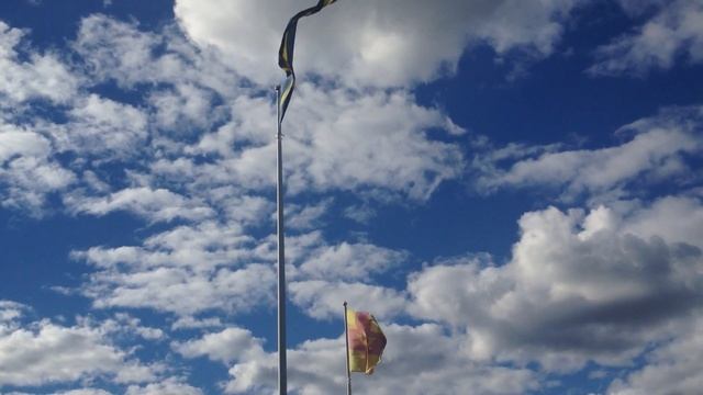 Tyresö kommun flaggan och vimpel Sverige смотреть онлайн