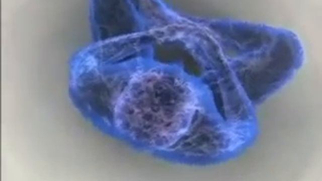 Медитация для исцеления (/) смотреть онлайн