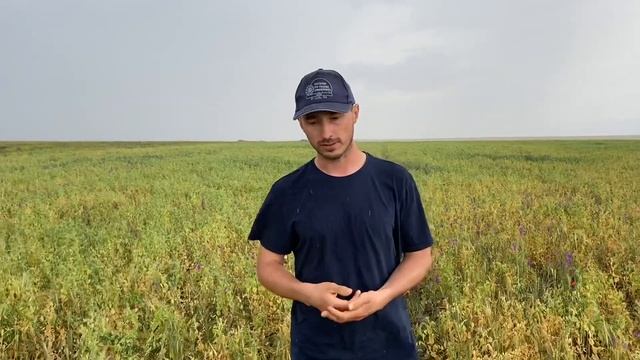 Пример разумного сочетания с природой смотреть онлайн