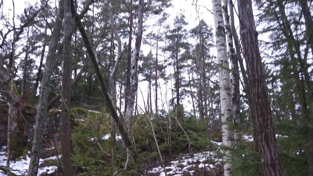 +4 winter 1 смотреть онлайн