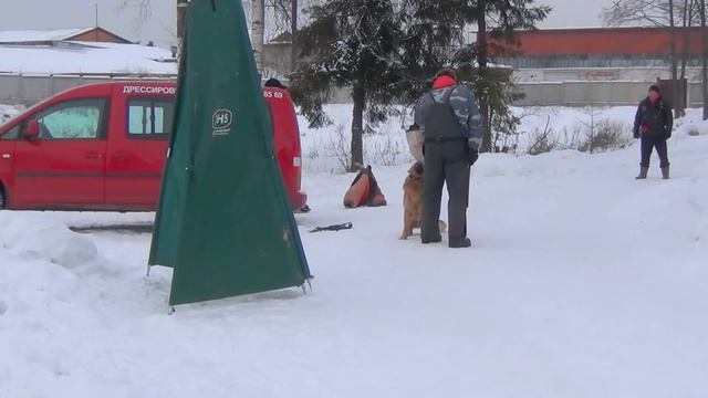 Дрессировка отпуска под нагрузкой смотреть онлайн