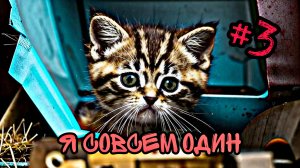 Нейрокотики Мяу Мяу | Грустная история маленького котенка #3