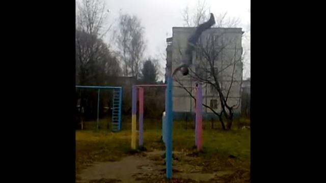 Profile (Профайл)