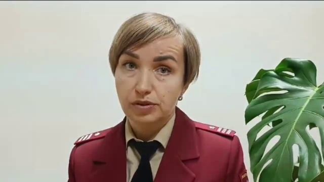 День осведомленности о вирусах смотреть онлайн