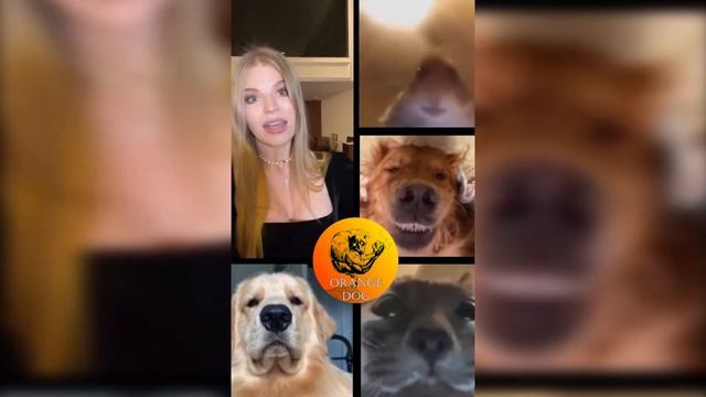 Правда о финансовых тренингах / The Truth About Financial Coaching 2021 смотреть онлайн