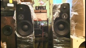 трёхполосная акустика лабиринт на купальном среднечастотеом динамике и ленточном вч играет гитару